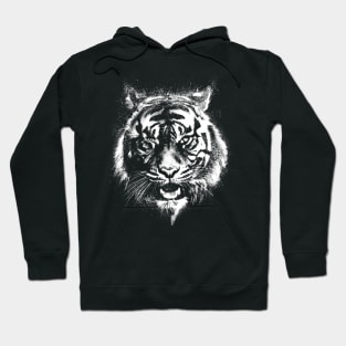 Tiger, Tiger face, Mountain tiger, Snow tiger, white tiger, Hoodie